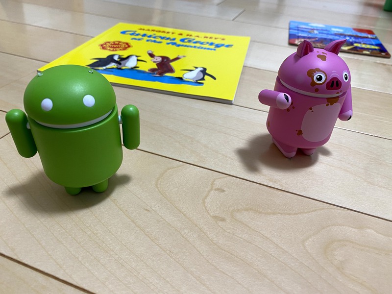 Exemple du contenu de notre dataset